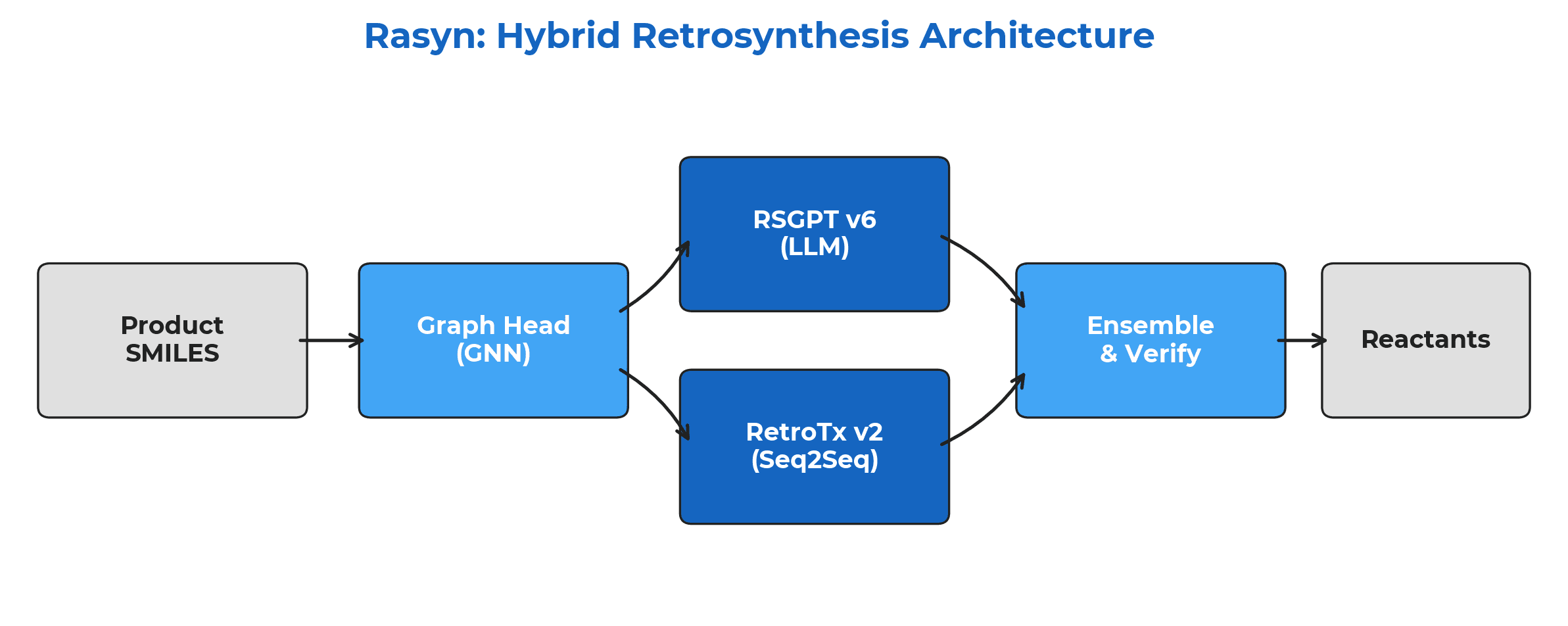 Rasyn hybrid architecture overview